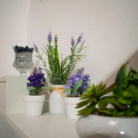 Le Vecchie Mura Apartmán