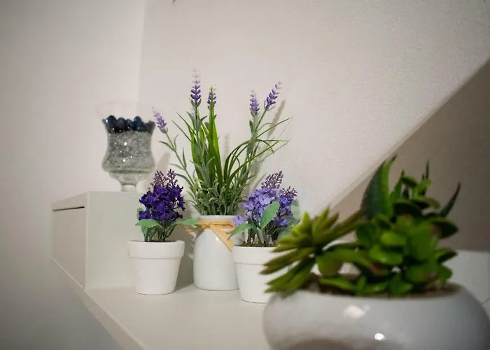 Le Vecchie Mura アパート